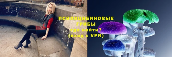 прущие крисы Алексеевка