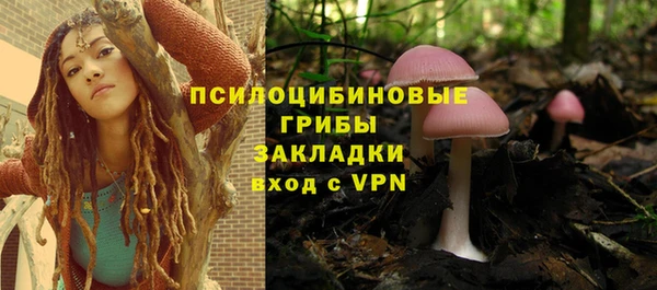 прущие крисы Алексеевка