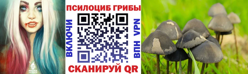 Галлюциногенные грибы мухоморы купить наркоту Белебей